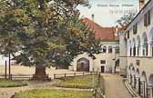 Millstatt - Stiftshof - Oesterreich - alte historische Fotos Ansichten Bilder Aufnahmen Ansichtskarten 