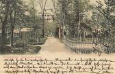 Klagenfurt Botanischer Garten - Oesterreich - alte historische Fotos Ansichten Bilder Aufnahmen Ansichtskarten 