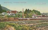 Warmbad Villach - Schwimmschule - Oesterreich - alte historische Fotos Ansichten Bilder Aufnahmen Ansichtskarten 