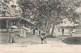 Cafe Werzer - Klagenfurt Land - alte historische Fotos Ansichten Bilder Aufnahmen Ansichtskarten 