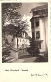 Wildbad Einöd bei Neumarkt in Steiermark - Murau - alte historische Fotos Ansichten Bilder Aufnahmen Ansichtskarten 