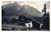 Altes Birnbaum - Birnbaum - alte historische Fotos Ansichten Bilder Aufnahmen Ansichtskarten 