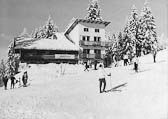 Alpenrose im Winter - Oesterreich - alte historische Fotos Ansichten Bilder Aufnahmen Ansichtskarten 