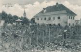 Gärtnerei Jacob Eicher - Villach - alte historische Fotos Ansichten Bilder Aufnahmen Ansichtskarten 