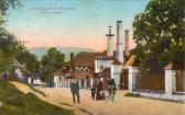 Unterbergen Brauerei Oblasser - Klagenfurt Land - alte historische Fotos Ansichten Bilder Aufnahmen Ansichtskarten 