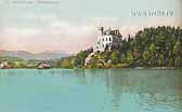 Schloss Reifnitz - Kärnten - alte historische Fotos Ansichten Bilder Aufnahmen Ansichtskarten 