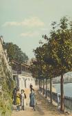 Villach Draupromenade - Villach-Innere Stadt - alte historische Fotos Ansichten Bilder Aufnahmen Ansichtskarten 