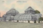 Wien Palmenhaus - Oesterreich - alte historische Fotos Ansichten Bilder Aufnahmen Ansichtskarten 