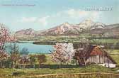 Faakersee - Drobollach - Mittagskogel - Villach(Stadt) - alte historische Fotos Ansichten Bilder Aufnahmen Ansichtskarten 