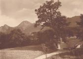 Faakersee Insel, Blick zum Landungssteg,  - Kärnten - alte historische Fotos Ansichten Bilder Aufnahmen Ansichtskarten 