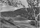 Rauschelesee mit Hochobir - Keutschach am See - alte historische Fotos Ansichten Bilder Aufnahmen Ansichtskarten 