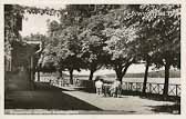 Klopeiner See - Gastgarten Erholungsheim - St. Kanzian am Klopeiner See - alte historische Fotos Ansichten Bilder Aufnahmen Ansichtskarten 