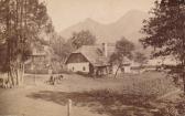 Bauernhof auf der Faakersee Insel - Faak am See - alte historische Fotos Ansichten Bilder Aufnahmen Ansichtskarten 