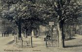 Wolfsberg Stadtpark - Europa - alte historische Fotos Ansichten Bilder Aufnahmen Ansichtskarten 