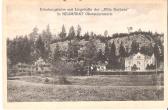 Neumarkt in Steiermark - Strimitzen - Oesterreich - alte historische Fotos Ansichten Bilder Aufnahmen Ansichtskarten 