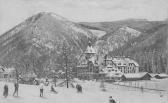 Semmering, Hotel Erzherzog Johann mit Sownnwendstein - alte historische Fotos Ansichten Bilder Aufnahmen Ansichtskarten 