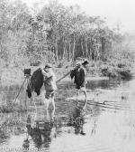 Fotografen - alte historische Fotos Ansichten Bilder Aufnahmen Ansichtskarten 