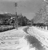 Westbahnhof. Blick nach W - alte historische Fotos Ansichten Bilder Aufnahmen Ansichtskarten 