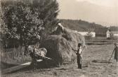 Heuernte am See - alte historische Fotos Ansichten Bilder Aufnahmen Ansichtskarten 