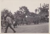 Erntedankfest zwischen Bernold und Schweij Hube - Europa - alte historische Fotos Ansichten Bilder Aufnahmen Ansichtskarten 