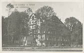 Hotel Auenhof - Europa - alte historische Fotos Ansichten Bilder Aufnahmen Ansichtskarten 