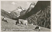 Lesachtal gegen Schobergruppe - Lesachtal - alte historische Fotos Ansichten Bilder Aufnahmen Ansichtskarten 