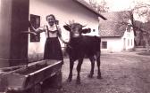 Faak am See, Bauernhof der Kunstmühle - Oesterreich - alte historische Fotos Ansichten Bilder Aufnahmen Ansichtskarten 