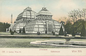 Palmenhaus - Wien,Hietzing - alte historische Fotos Ansichten Bilder Aufnahmen Ansichtskarten 