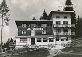 Hotel Alpenrose - Kärnten - alte historische Fotos Ansichten Bilder Aufnahmen Ansichtskarten 