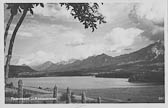 Drobollach am Faaker See - Oesterreich - alte historische Fotos Ansichten Bilder Aufnahmen Ansichtskarten 
