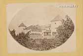 Schloss Wernberg - Villach Land - alte historische Fotos Ansichten Bilder Aufnahmen Ansichtskarten 