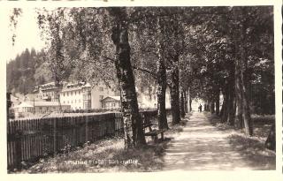 Wildbad Einöd bei Neumarkt - alte historische Fotos Ansichten Bilder Aufnahmen Ansichtskarten 