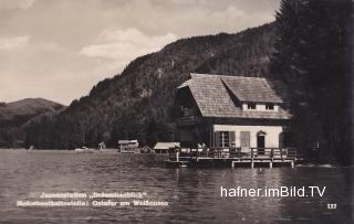 Gasthaus Dolomitenblick - Oesterreich - alte historische Fotos Ansichten Bilder Aufnahmen Ansichtskarten 