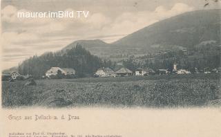 Dellach an der Drau - Oesterreich - alte historische Fotos Ansichten Bilder Aufnahmen Ansichtskarten 