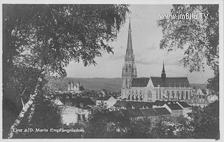 Linz, Maria Empfängnisdom - Oesterreich - alte historische Fotos Ansichten Bilder Aufnahmen Ansichtskarten 