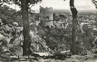 Mödling - Schwarzer Turm - Niederösterreich - alte historische Fotos Ansichten Bilder Aufnahmen Ansichtskarten 