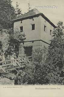 Hochosterwitz - Löwen Tor - alte historische Fotos Ansichten Bilder Aufnahmen Ansichtskarten 