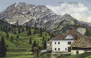 Plöcken mit Mooskofel - Oesterreich - alte historische Fotos Ansichten Bilder Aufnahmen Ansichtskarten 