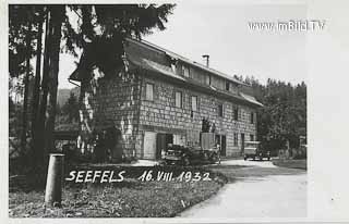 Pörtschach - Seefels - alte historische Fotos Ansichten Bilder Aufnahmen Ansichtskarten 