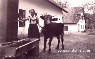 Faak am See, Bauernhof der Kunstmühle - Europa - alte historische Fotos Ansichten Bilder Aufnahmen Ansichtskarten 