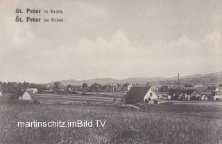 St. Peter in Krain - Europa - alte historische Fotos Ansichten Bilder Aufnahmen Ansichtskarten 