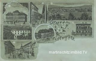 7 Bild Litho Karte - Gotschee - Mondscheinkarte - Gottschee / Kocevje - alte historische Fotos Ansichten Bilder Aufnahmen Ansichtskarten 