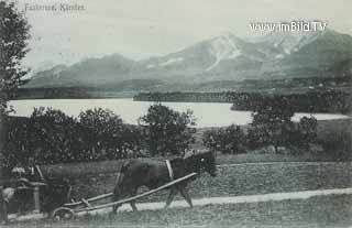 Pferdefuhrwerk in Drobollach - Europa - alte historische Fotos Ansichten Bilder Aufnahmen Ansichtskarten 