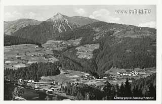 Liesing gegen Lumkofel - Lesachtal - alte historische Fotos Ansichten Bilder Aufnahmen Ansichtskarten 