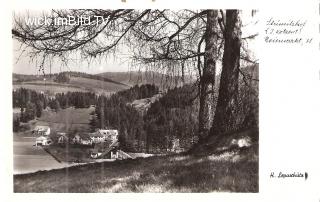 Neumarkt in Steiermark - Europa - alte historische Fotos Ansichten Bilder Aufnahmen Ansichtskarten 