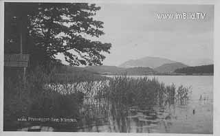 Pressegger See - Presseggersee - alte historische Fotos Ansichten Bilder Aufnahmen Ansichtskarten 