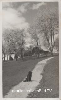 Schotterweg der jetzigen Drobollacher Seepromenade - alte historische Fotos Ansichten Bilder Aufnahmen Ansichtskarten 