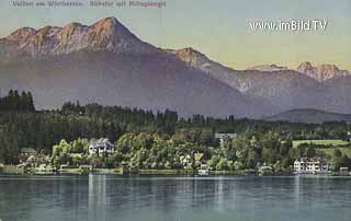 Velden - Südufer - alte historische Fotos Ansichten Bilder Aufnahmen Ansichtskarten 