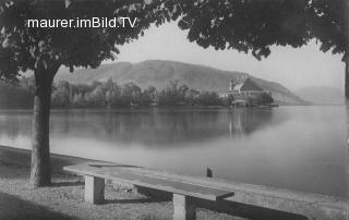 Schloß Kammer von der Seepromenade - alte historische Fotos Ansichten Bilder Aufnahmen Ansichtskarten 