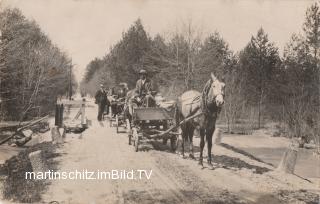 Pferdefuhrwerke - alte historische Fotos Ansichten Bilder Aufnahmen Ansichtskarten 